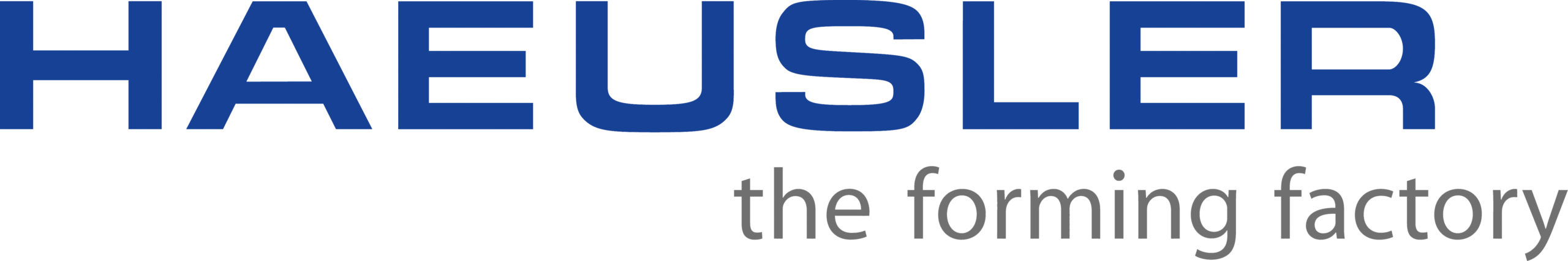 HAEUSLER_Signet2a